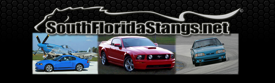 SouthFloridaStangs.net